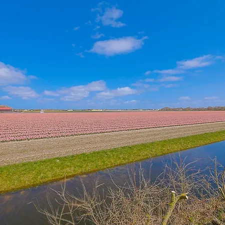 Seeschwalbe - Aan Zee Apartament